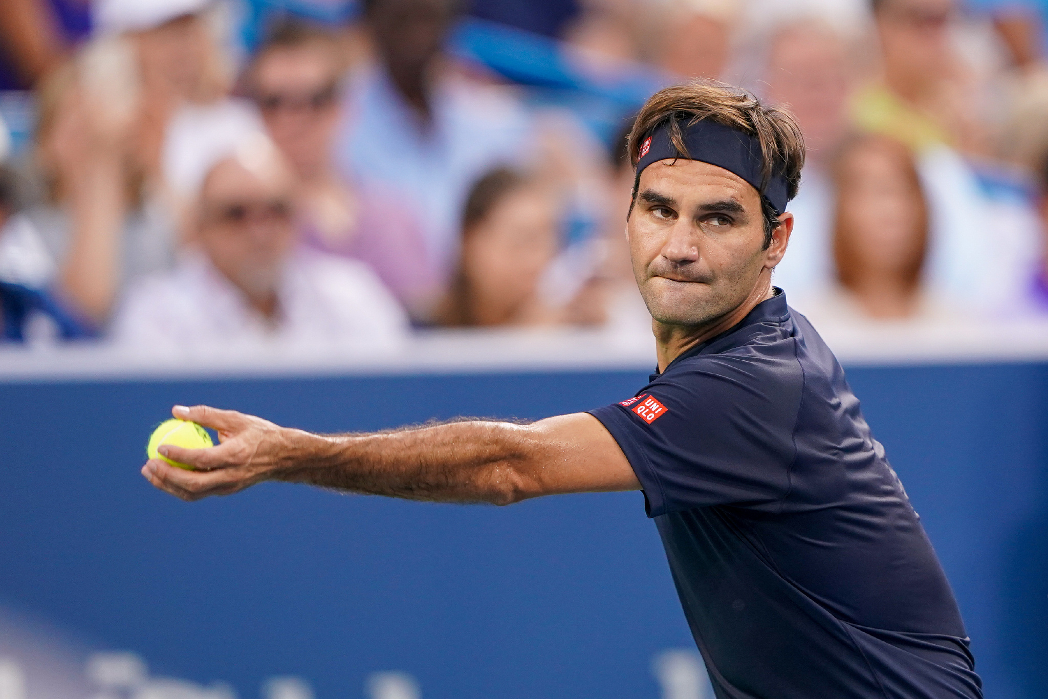 花不仅要在 花不仅要在